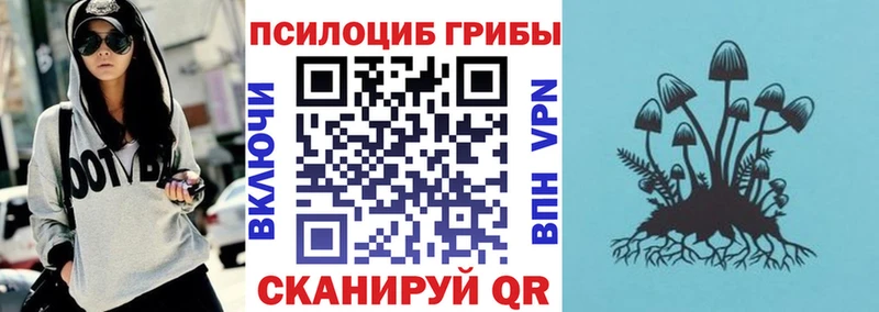 Галлюциногенные грибы Cubensis  Новая Ладога 